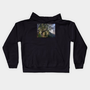 Forest Sunshine Kids Hoodie